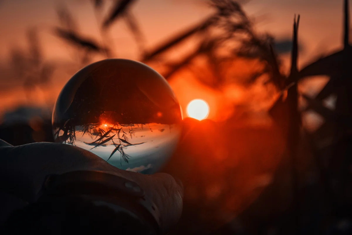 Why Domain Experts Should Build Their Own Software in 2026